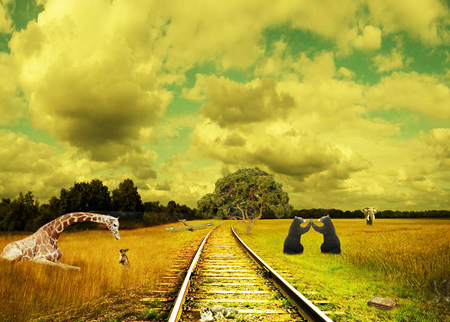  A child's dream, a giraffe bending down to say hello to a bunny, two bears playing patty cake, a book in the grass, a crashed WWII air plane, a cat on the railroad tracks