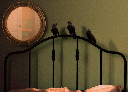  Three crows perched on an iron bedstead.